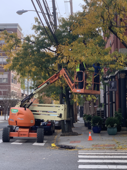 This is a photo of our tree trim service taking place with crane lift to remove high branches away from utility lines.