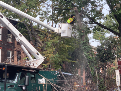 This is an image of branch removal taking place on a bucket crane lift taken in NJ.