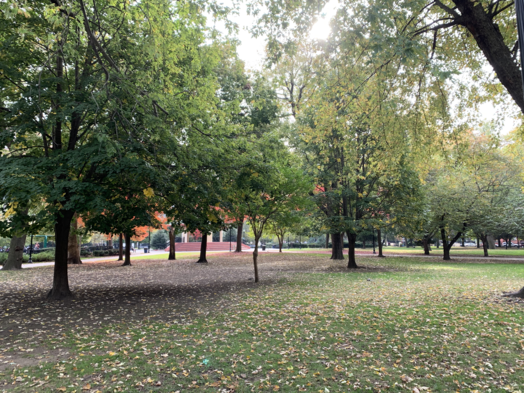 This photo is of tree services that had taken place at the park in the Fall, including tree trimming and deep root fertilization. It's taken at a New Jersey Park.